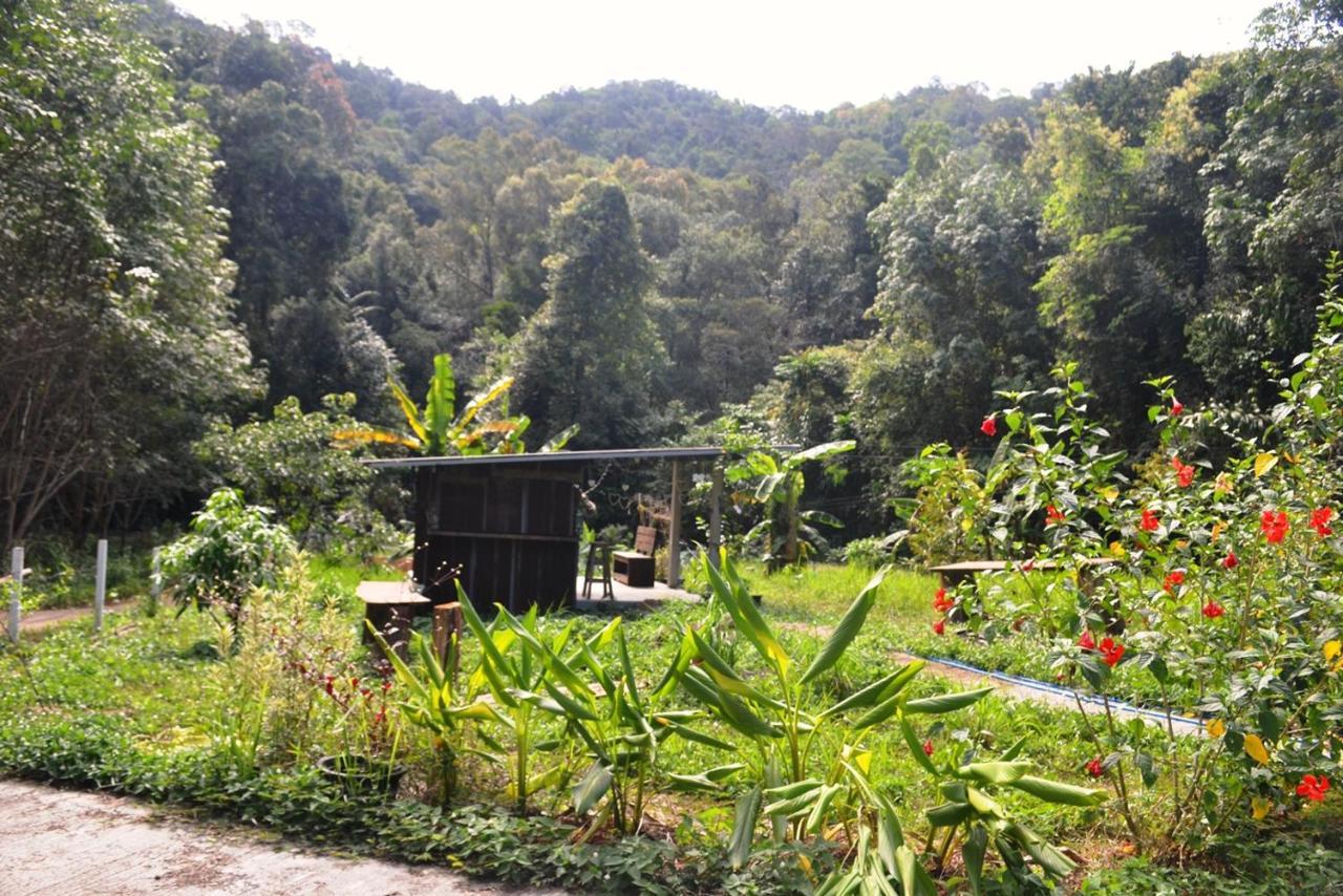 Homebar เกาะช้าง ภายนอก รูปภาพ